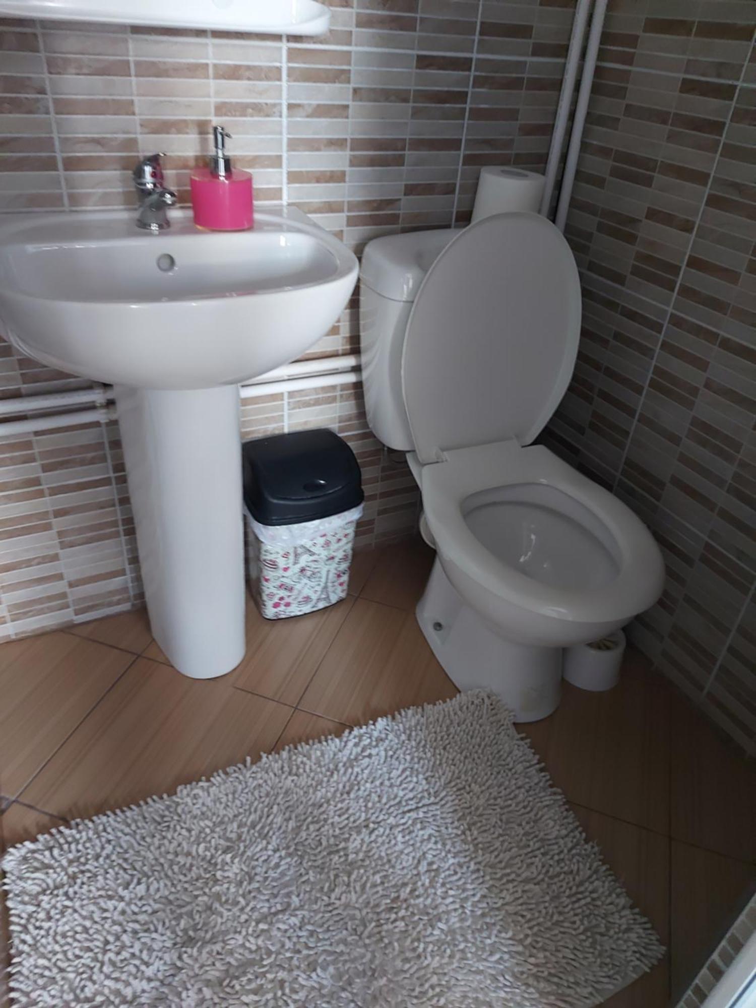 ホテル Casa Dalys Orşova エクステリア 写真